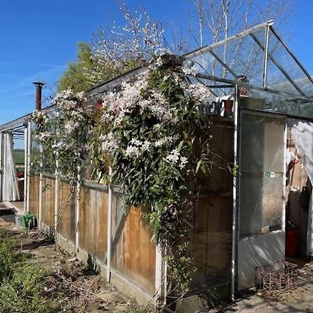Vrijstaande Accommodatie Glamping De Kas Inn Hank Bagian luar foto